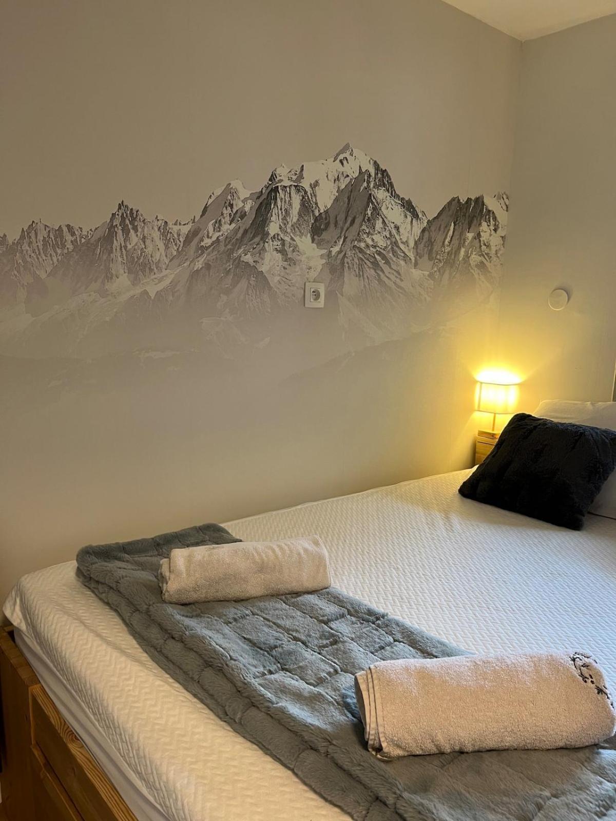 Beautiful Cozy And Fully Renovated * Chamonix